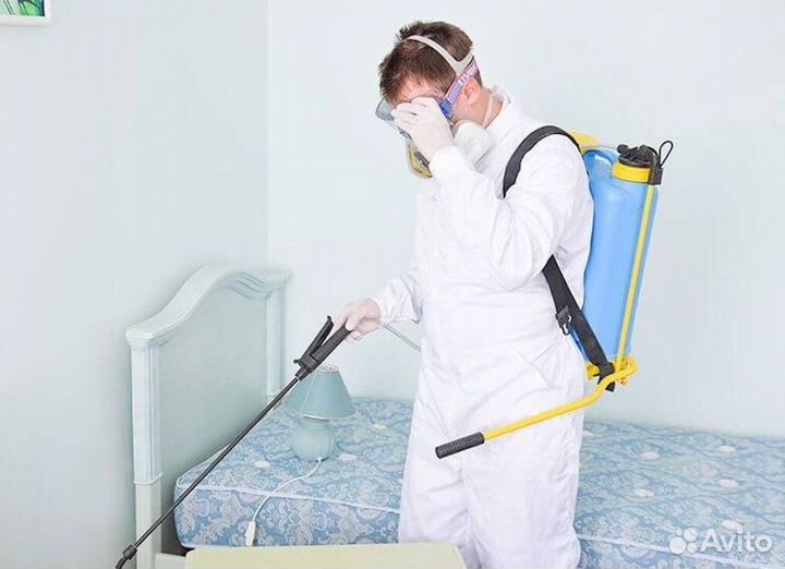 Средство для Уничтожения клопов травли тараканов, блох