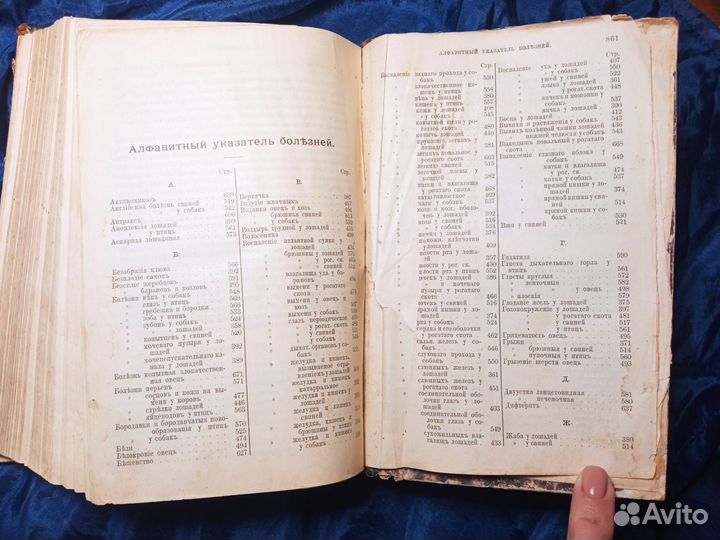 Книга лечебник домашних животных 1904 год Шмулевич