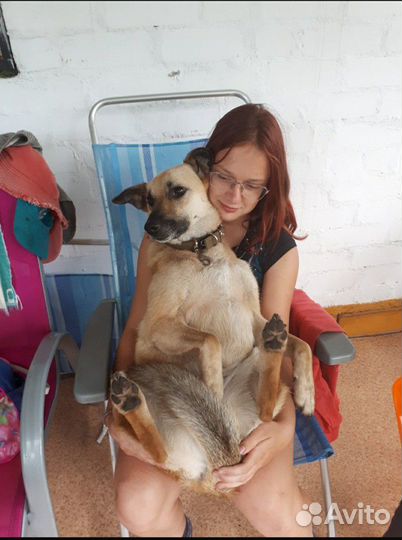 Милая и красивая Милана ищет дом