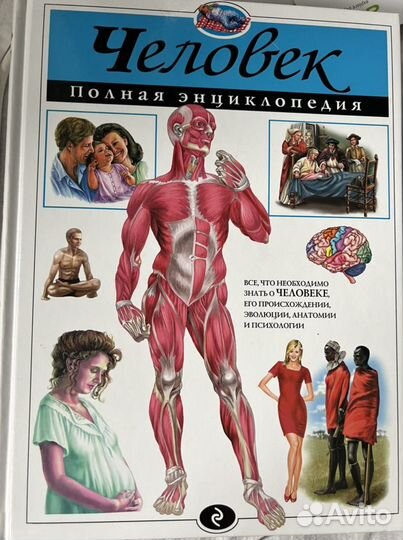 Энциклопедия для детей