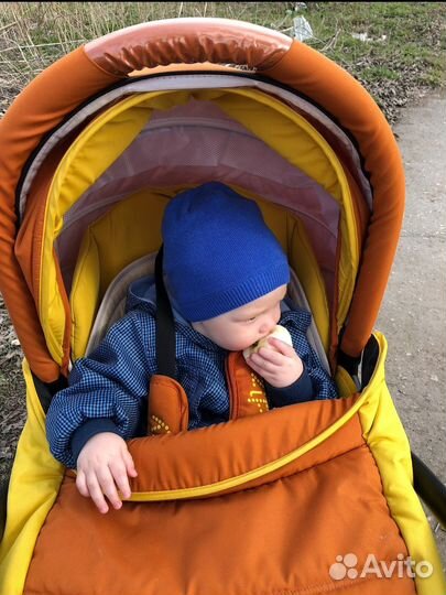 Коляска 3 в 1 Tutis Zippy