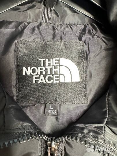 Жилетка the north face