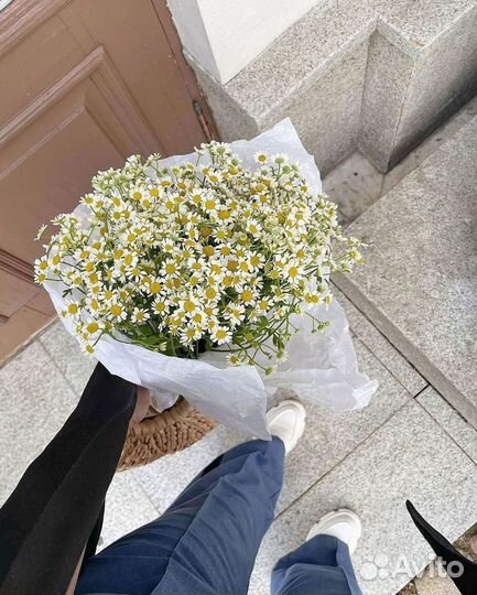 Ромашки Букет из ромашек доставка