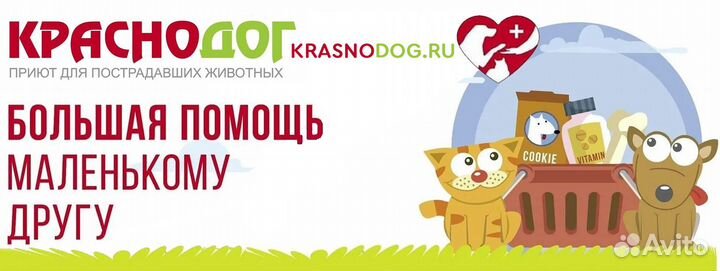 Каркасный бассейн Intex 28205 244х51 см