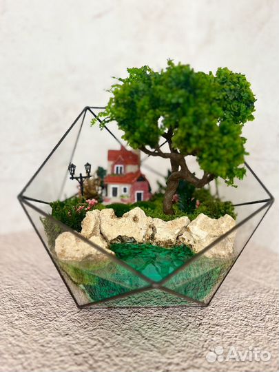 Флорариум Моссариум Подарок