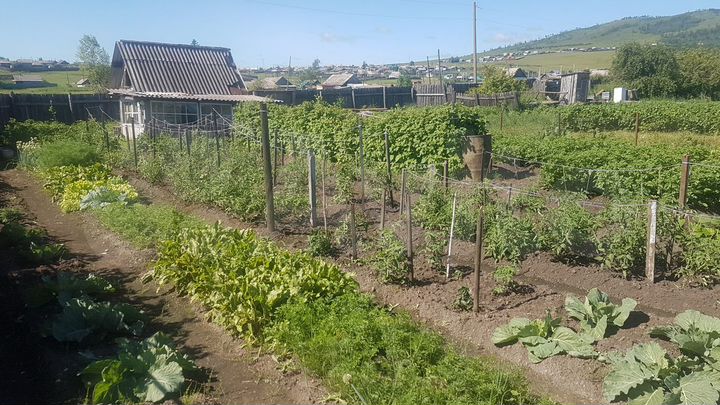 Участок 4,8 сот. (ИЖС)