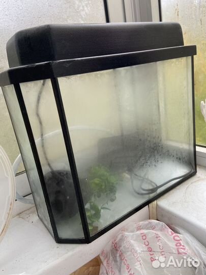 Аквариум