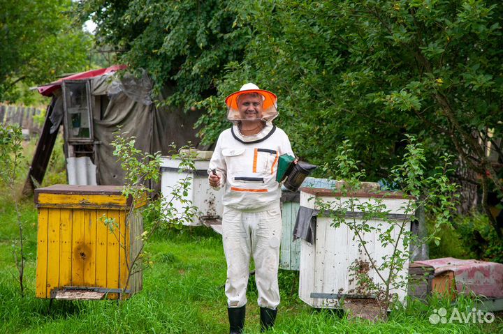 Мед из Орловского Полесья. Доставка бесплатна