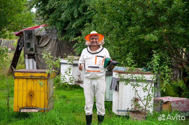 Мед из Орловского Полесья. Доставка бесплатна