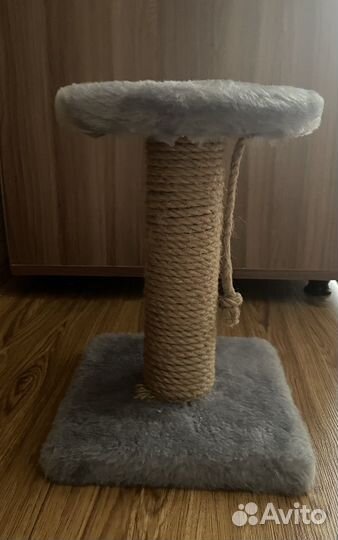 Когтеточка для кошек