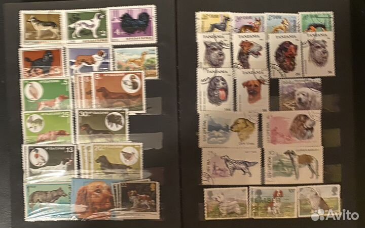 Почтовые марки по теме Собаки