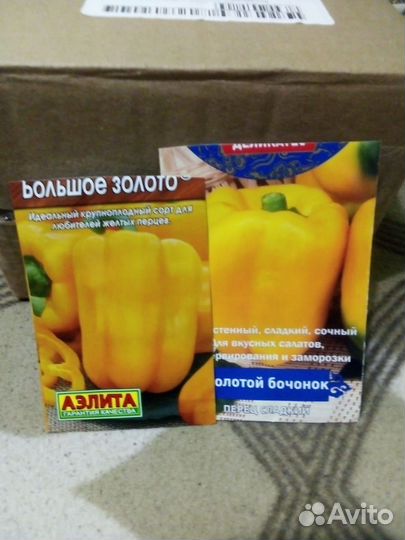 Рассада перца