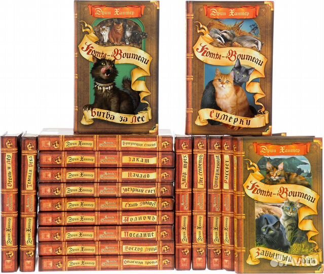 Эрин хантер коты воители