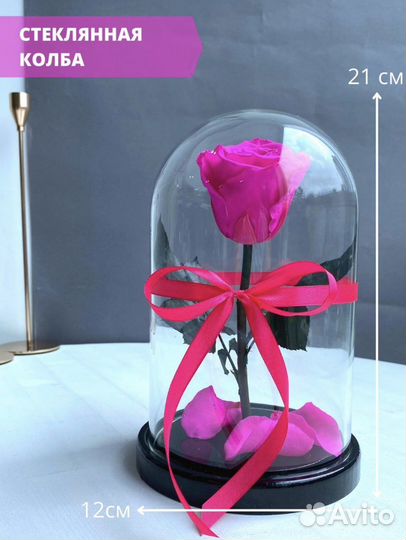 Роза в колбе