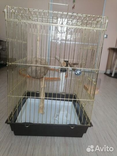 Клетка для попугая