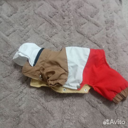 Одежда для маленьких собак бу