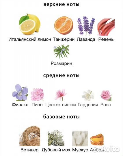 Пробник Into The Jungle Mandarina Duck