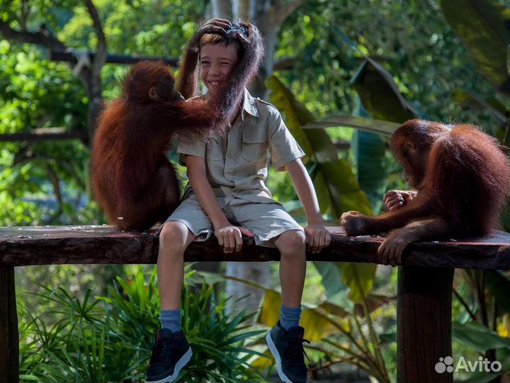 Бали Топ-Экскурсия Вмире животных на Бали