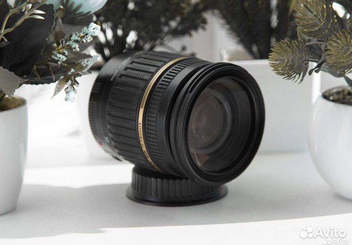 Tamron 17-50 mm F2.8 (Canon EF-S)