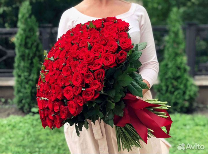 Высокие розы Гигантские розы 110