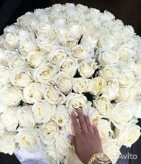 Розы Букеты Цветы Розы 31 101 151 201 Доставка