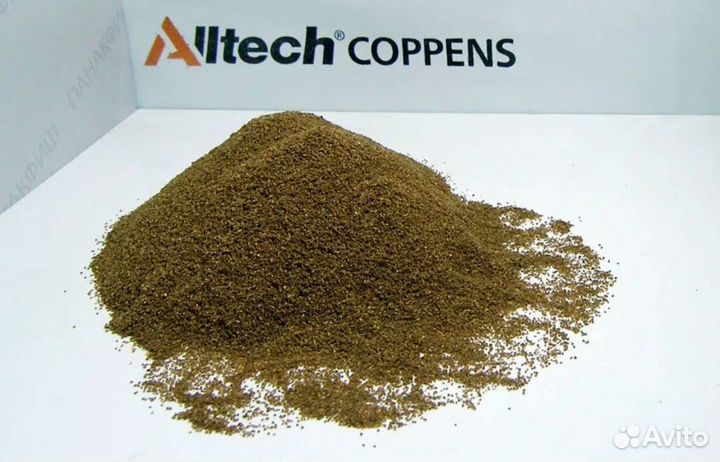 Корм для аквариумных рыб и растения