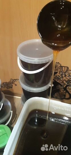 Мед алтайский