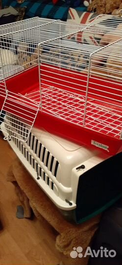 Клетка для морской свинки