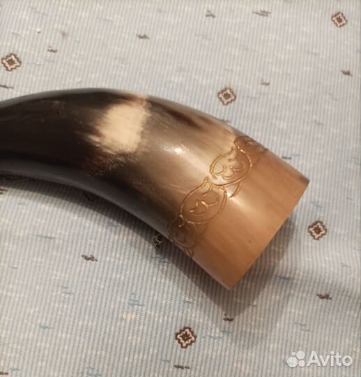 Бычий рог натуральный 1975 год
