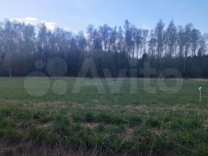 Участок 10 сот. (ИЖС)