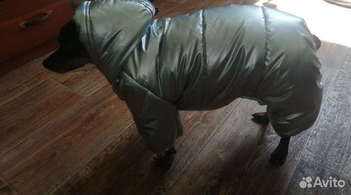 Зимний костюм для маленькой собаки