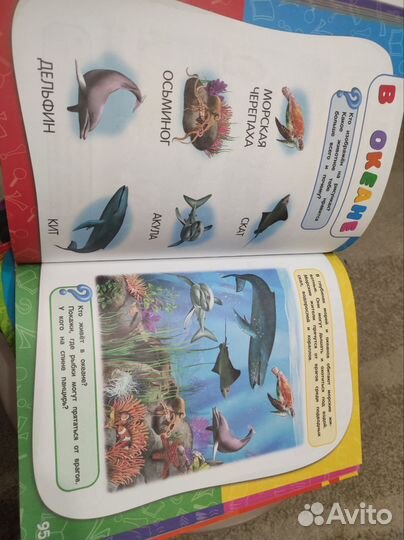 Годовой курс занятий для детей