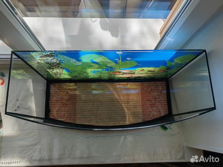 Аквариум