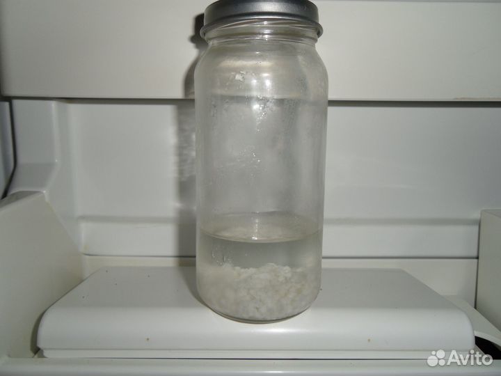 Молочный гриб (есть)