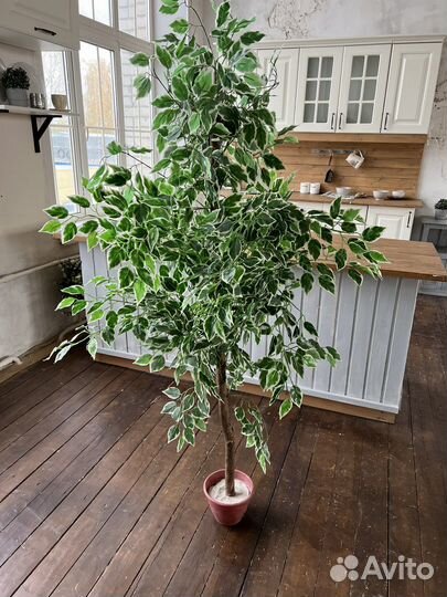 Искусственное дерево фикус