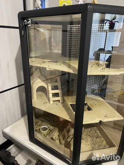 Клетка для шиншиллы бу