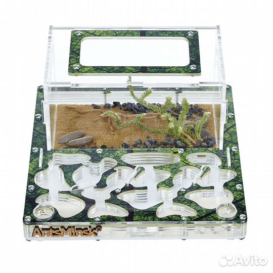 Муравьиная ферма новая