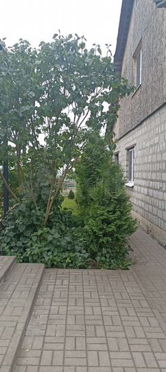 Дом 113 м² на участке 11,2 сот.