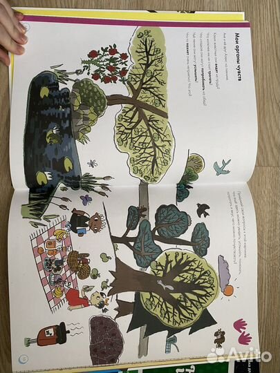 Книга Мое тело