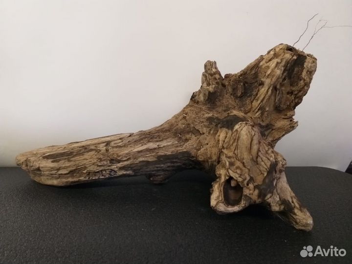 Коряга мангровая. Виноградная лоза. Коряга мопани