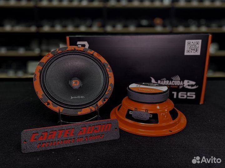 Эстрадная акустика DL Audio Barracuda 165