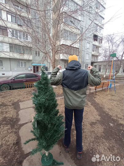 Можжевельник