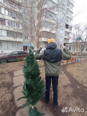 Можжевельник