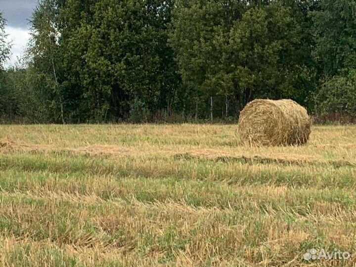Корма для сельскохозяйственных