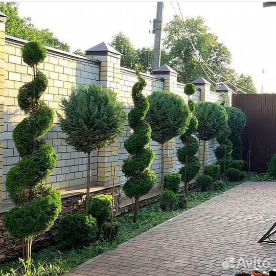 Ваш садовый участок в чистоте