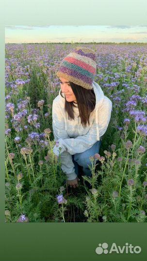 Стихи и тексты песен на заказ