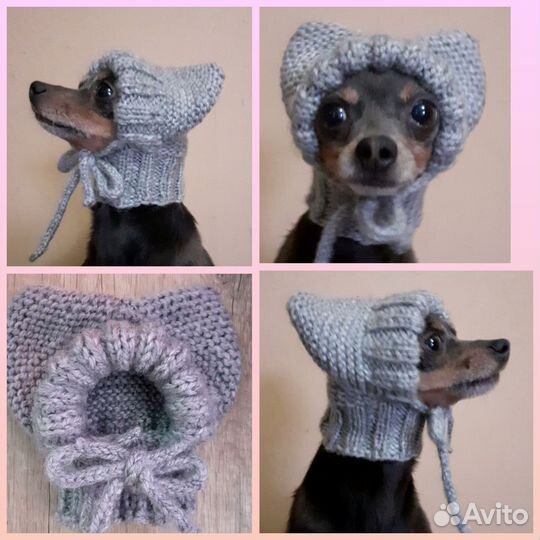 Вязанные шапочки для собак