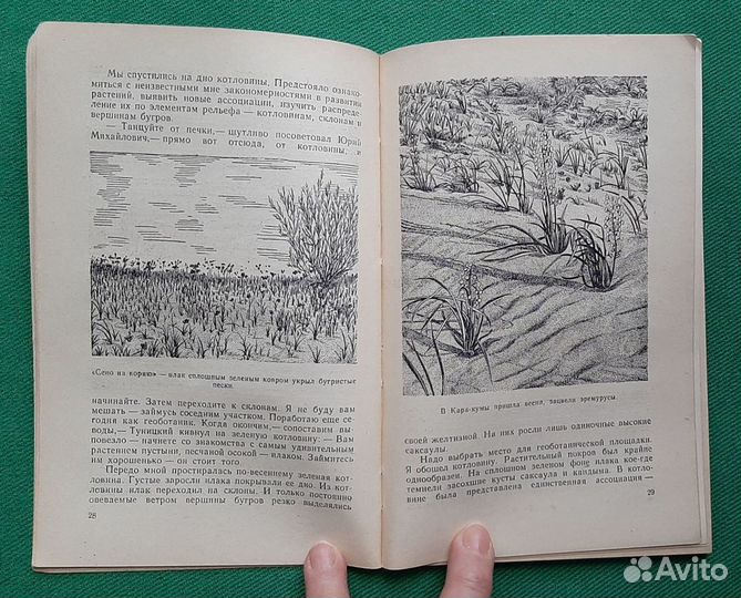 А.Кременской. В Закаспии. 1954