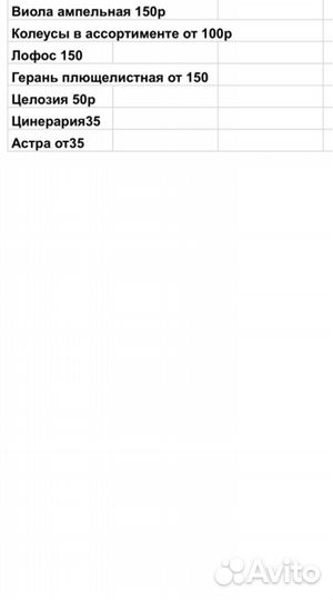 Рассада цветов