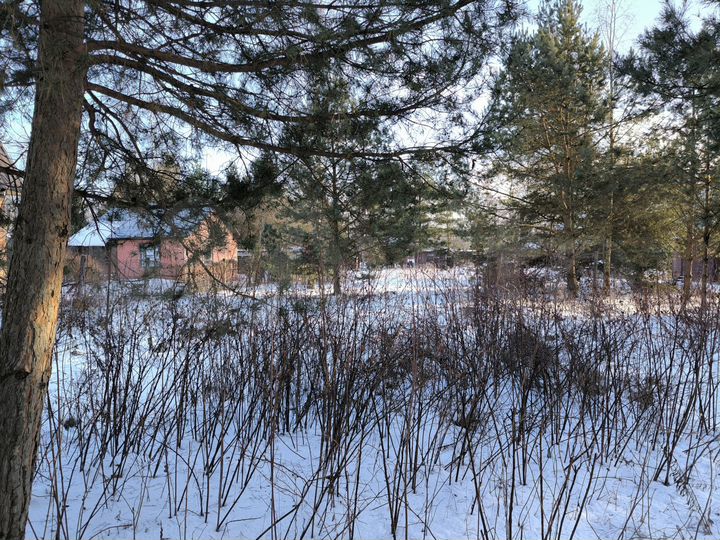 Участок 6,1 сот. (ИЖС)